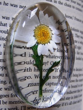 This photo of a flower paperweight was taken by photographer Lize Rixt of Utrecht in the Netherlands.